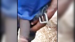 Playing with big black cock