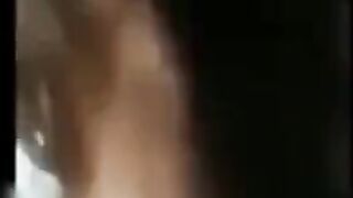 Amateur Chinese Quickie in Car