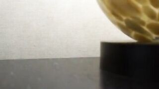 Beautiful girl sucks hubby while BBC pleases her pussy
