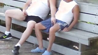 older gays have sex in public park