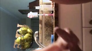 Vertical sex leaked video