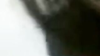 Malaysian Babe Gives an Amazing Blowjob