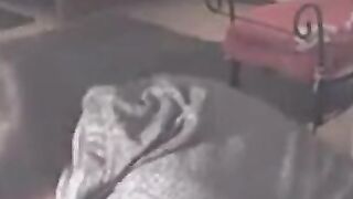 Reeper's Head & Cock Blowjob Amateur Webcam Video