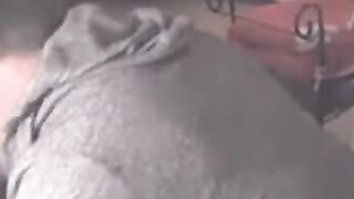 Reeper's Head & Cock Blowjob Amateur Webcam Video