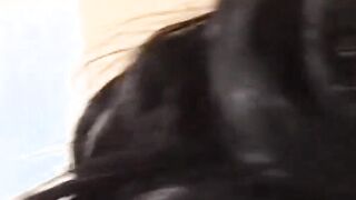 thiskittenbites Kinkypuppy12 RarsContenit - sexonly.top