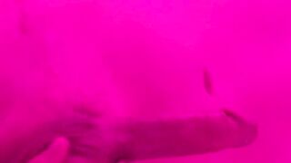 Autumn Rose253 MisssJessie Fr3ckledF0x - sexonly.top