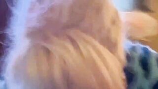Blondes Luder nimmt den Kolben in den Mund