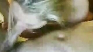 Svenska Parets Webcam Adventure