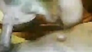 Svenska Parets Webcam Adventure