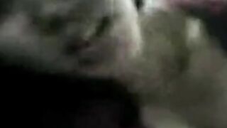 Amateur Asian Babe Blowjob in Karaoke Room