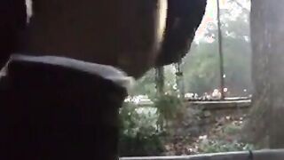 Ebony Bareback Buddies Outdoor Adventure