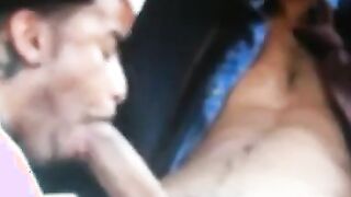 Big Black Cock Sucked by Amateur