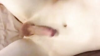 Twink Crossdresser Tries Hands-Free Cumming