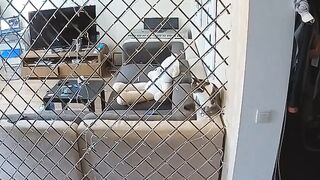 Voyeur 10