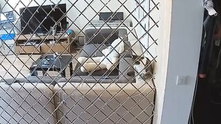 Voyeur 10
