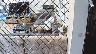 Voyeur 10