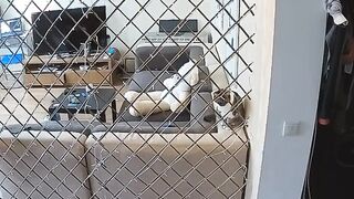 Voyeur 10