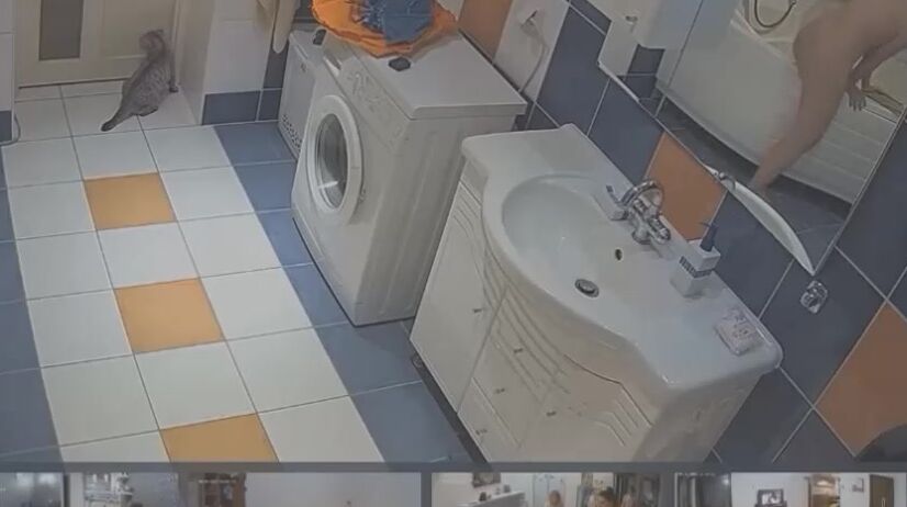 Voyeur 52