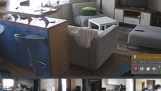 Voyeur 59