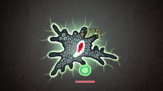 ANOMALY EVOLUTION