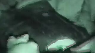 Christine01 ficken u besoman compi 6