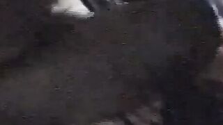 Christine01 ficken u besamen compi 14