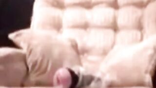 Glory Hole Swallow - Rimmed by a Married Man