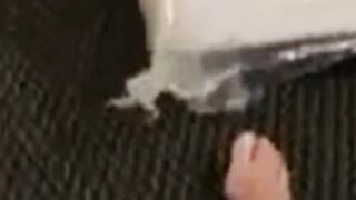 Spoiled Wife Loves Having Her Pussy Filled Up With Cum