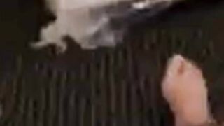 Spoiled Wife Loves Having Her Pussy Filled Up With Cum
