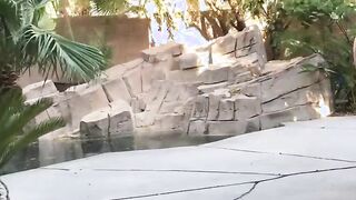 Haebsches Bikiniluder macht es im Freien
