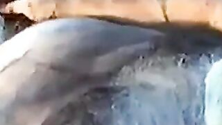 Young Man Sucks Off a Hairy Grandpa