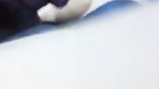 Maduro recibe una mamada de un oso amateur