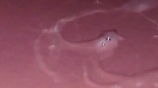 Glory Hole Big-Cock Blowjob: A Huge Load 2