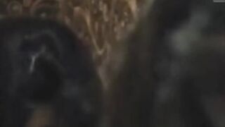 Bhabhi Ko bathroom Utha Utha Kar Choda Dewar Ne