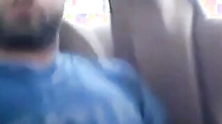 Osito peludo se divierte en el coche