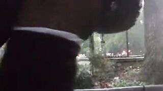Ebony Bareback Buddies Outdoor Adventure 2