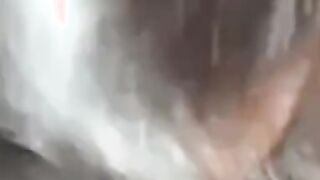 Mature Japanese Amateur Gives a Blowjob