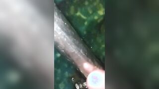a masturbation at 4 o'clock in the morning at a dinox bar at the pub in Eforie Nord a