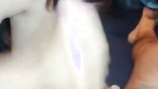 Brunette Amateur Blowjob with Cum in Mouth