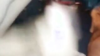 Brunette Amateur Blowjob with Cum in Mouth