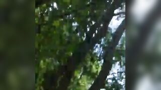 Big-Cock Daddy Blowjob in the Park