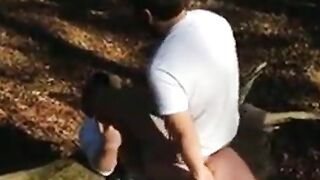 Osos amateur se divierten al aire libre