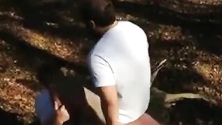 Osos amateur se divierten al aire libre