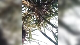 Ex Girlfriend Fucking in Outdor