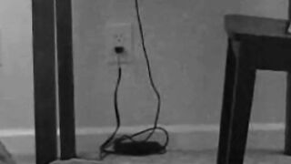 Daddies and Bears Masturbating Solo
