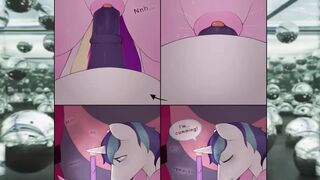 the honey moon