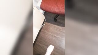 Sharing my hot White Ex-Wifey with two Hung Black Strangers Part 5