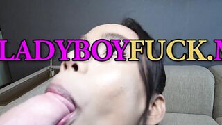 Big tits ladyboy giving perfect blowjob