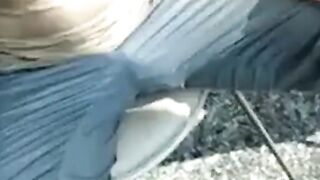Public Masturbation: Airport Pee and Cum