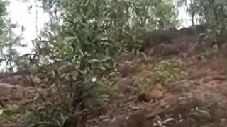 Desi village Bhabhi ko jungle mein Ghodi Banakar choda